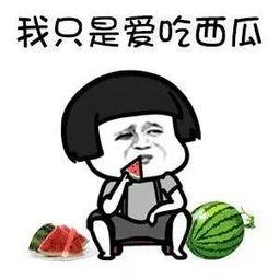 吃瓜娱乐儿,揭秘娱乐圈幕后故事